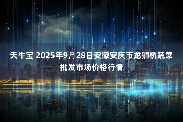 天牛宝 2025年9月28日安徽安庆市龙狮桥蔬菜批发市场价格行情