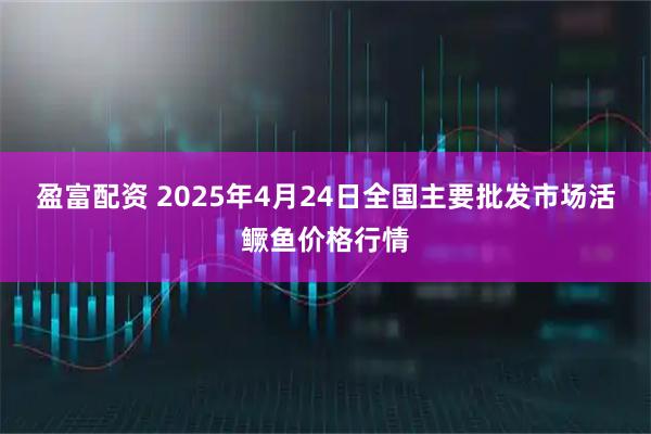 盈富配资 2025年4月24日全国主要批发市场活鳜鱼价格行情