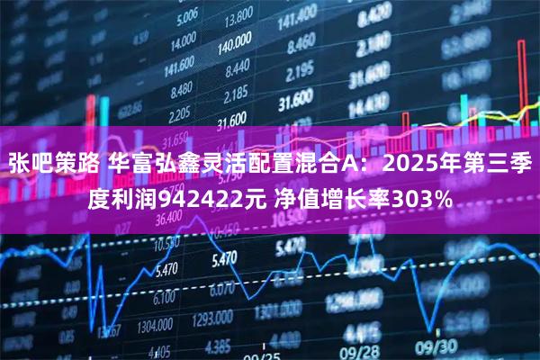 张吧策路 华富弘鑫灵活配置混合A：2025年第三季度利润942422元 净值增长率303%