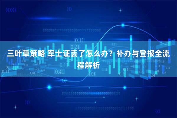 三叶草策略 军士证丢了怎么办？补办与登报全流程解析